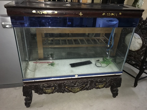 bể cá gỗ đục vắt vải 1