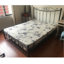 Giường mỹ thuật sắt kèm đệm lò xo nhập khẩu
